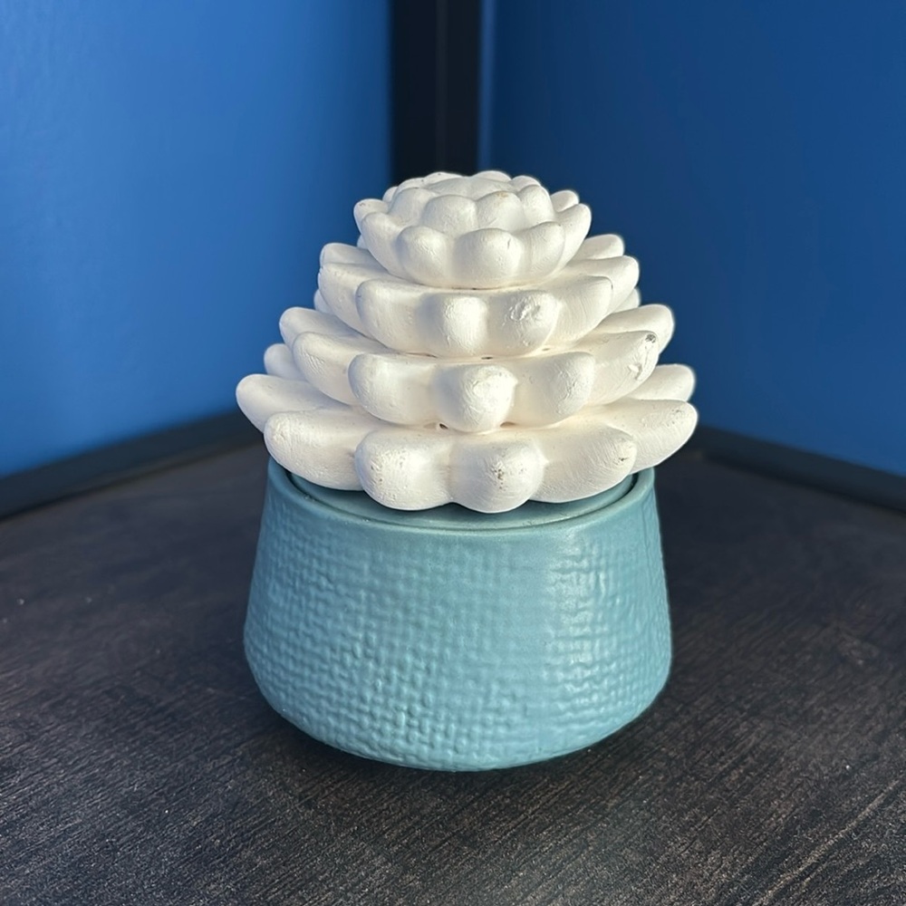 {Huntington Home} Blue Succulent Essential Oil wick diffuser